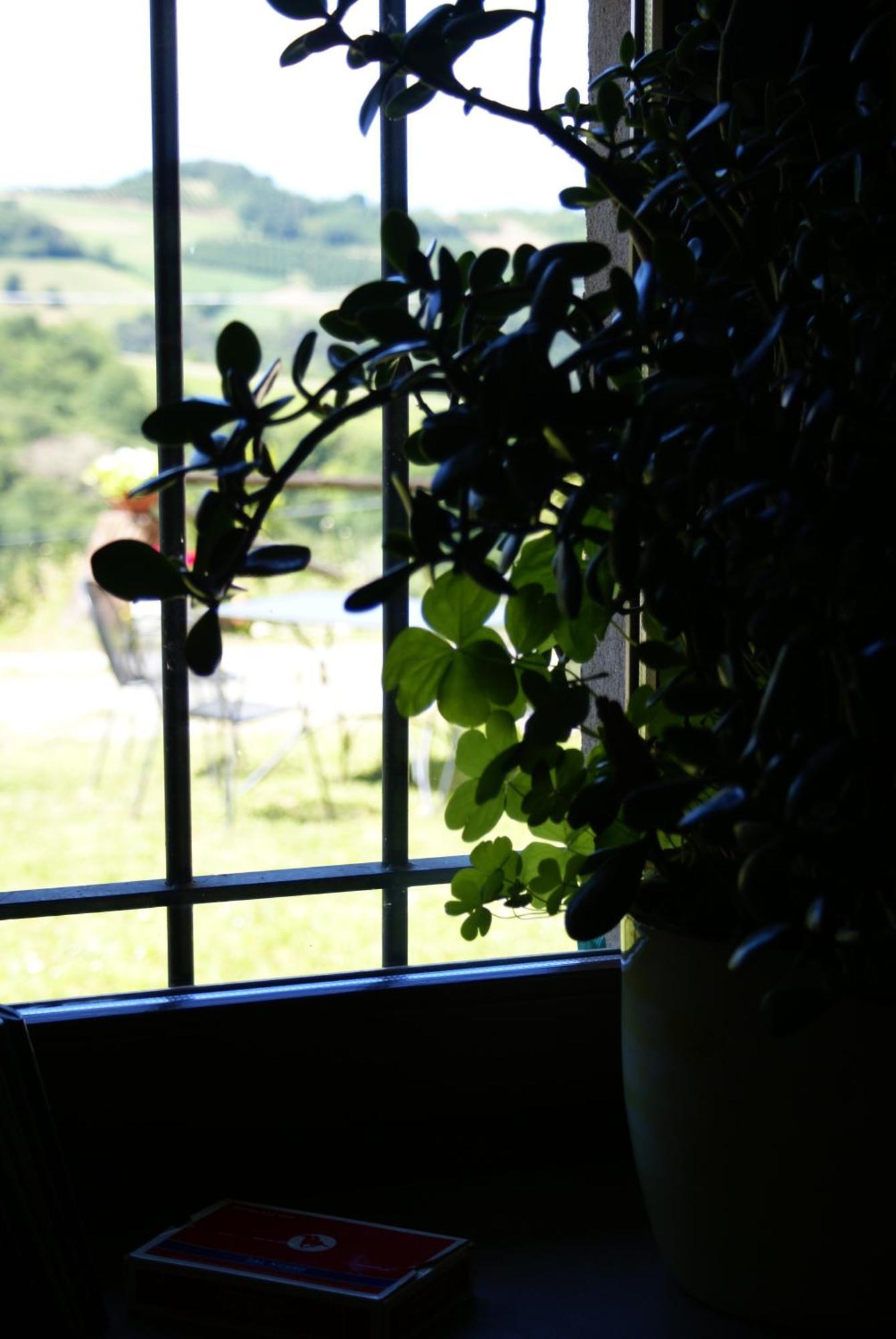 Bed and Breakfast Casa Branzele Trezzo Tinella Exterior foto