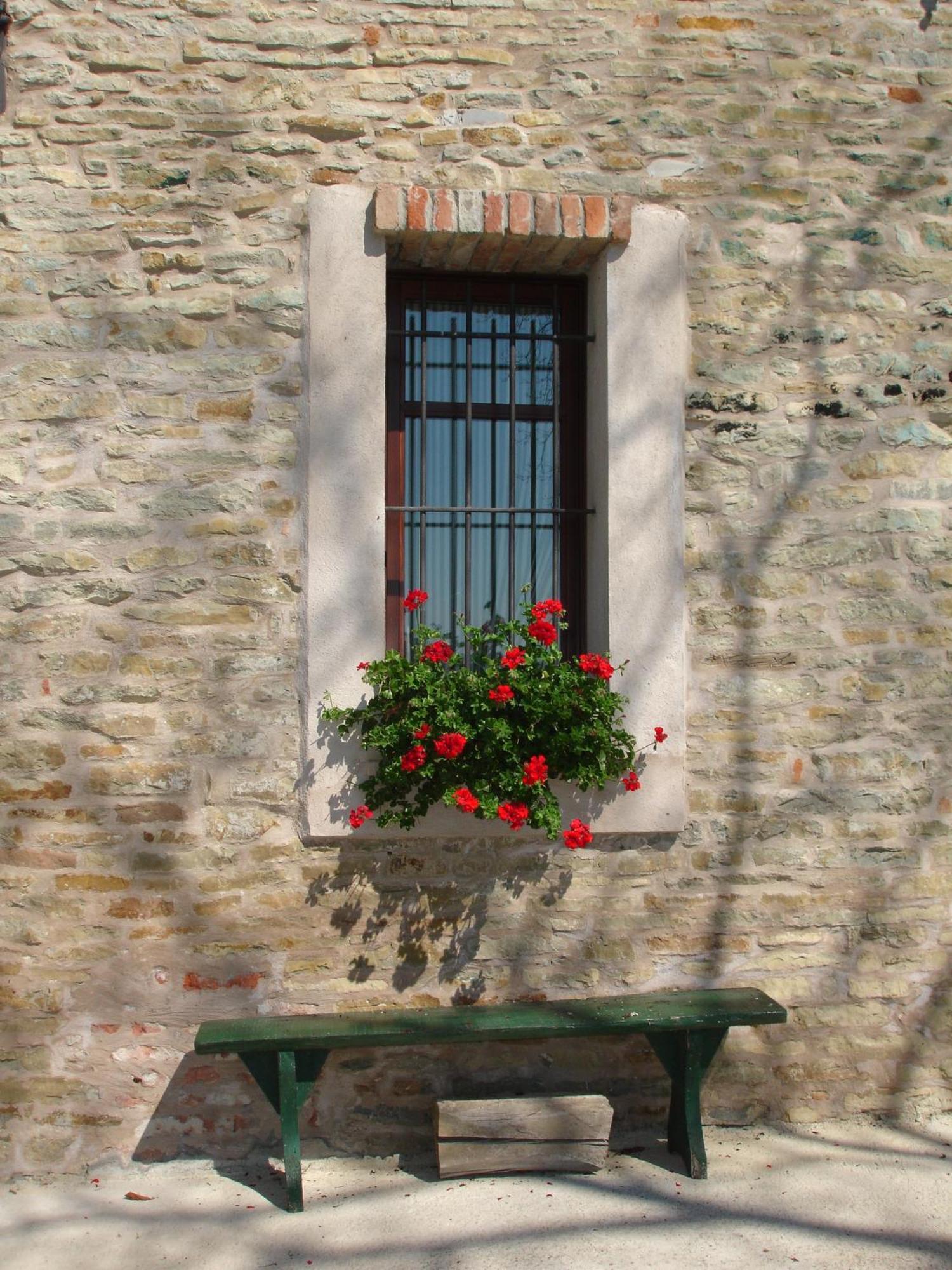 Bed and Breakfast Casa Branzele Trezzo Tinella Exterior foto
