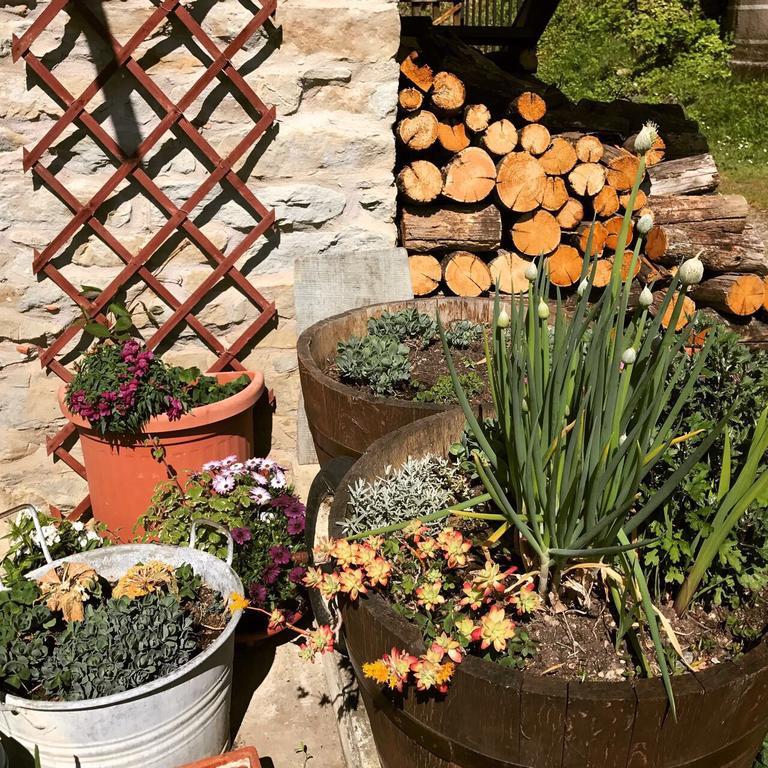 Bed and Breakfast Casa Branzele Trezzo Tinella Exterior foto